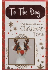 To The Dog